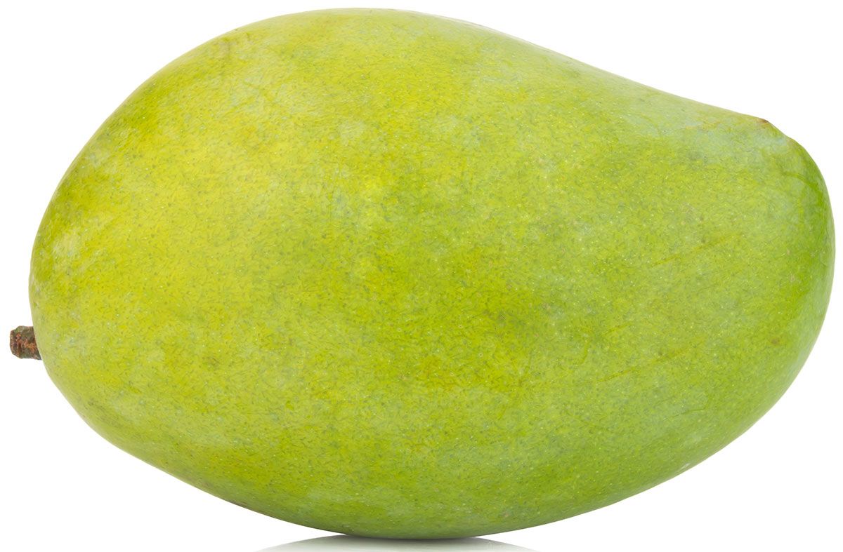 zo-th-1